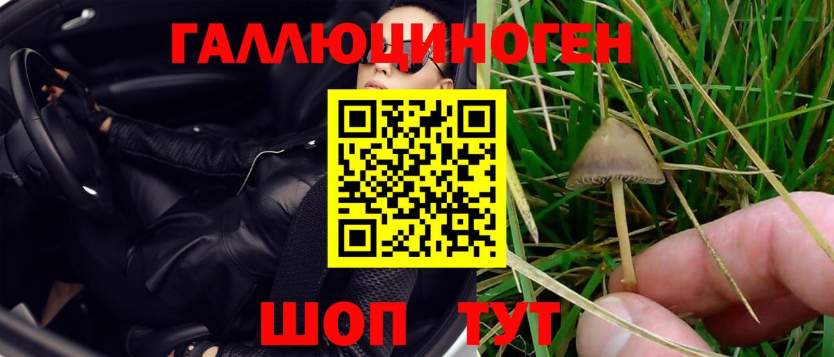 Галлюциногенные грибы GOLDEN TEACHER Нефтекамск